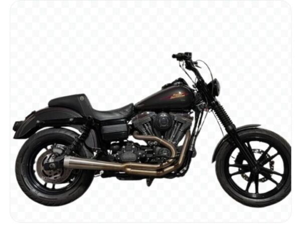 2009 FXDL