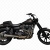 2009 FXDL