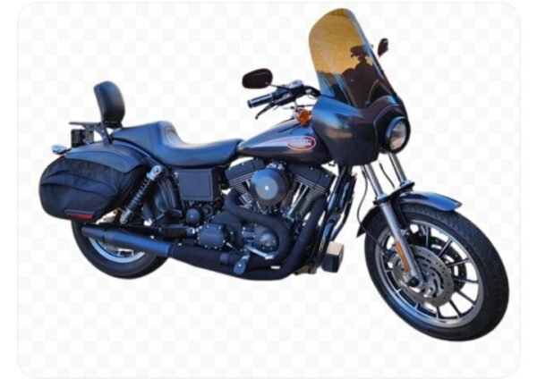 2001 FXDXT