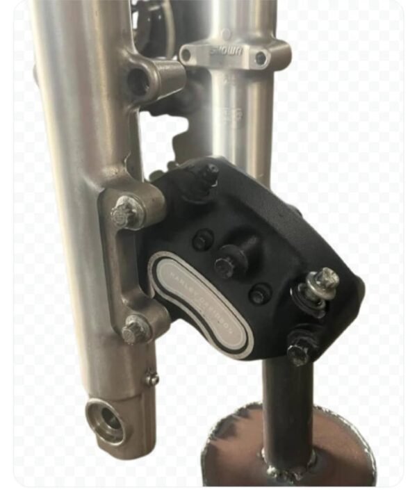 Biltwell moto bars, stock risers, stock single disk master/caliper/clutch perch off of a 2000 superglide, Chinese fork brace, racetech internals w/gold valves, stock length tubes, shorty levers, trees, headlight eyebrow.