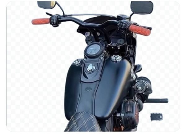2009. Dyna fat Bob Turbo 18HP