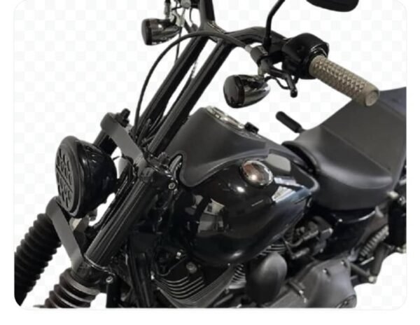 124 Street Bob
