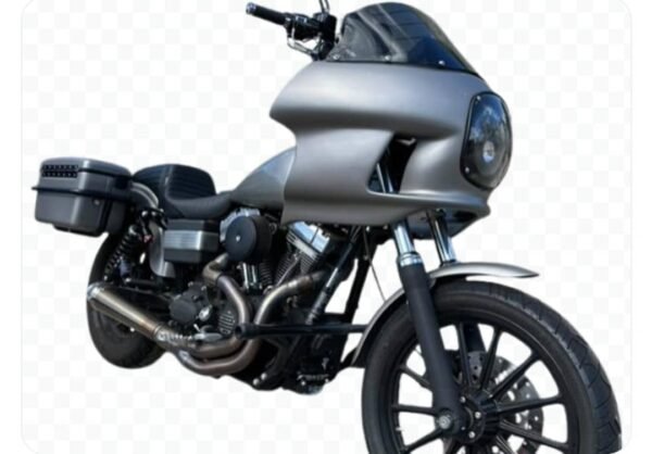 Custom Harley-Davidson